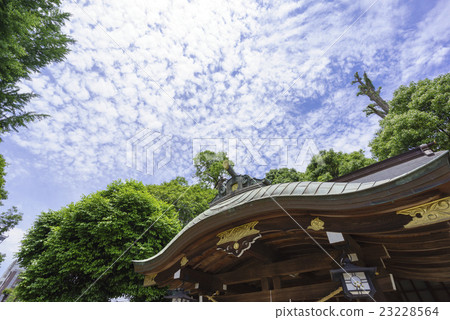 Kagura Theater at Suizenji Park Suizenji Gardens suffered by the Kumamoto earthquake Kagura Theater and blue skies and sunny skies with fine weather 23228564