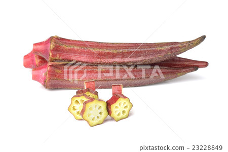 Hibiscus sabdariffa or roselle fruits isolated Hibiscus sabdariffa or roselle fruits isolated 23228849