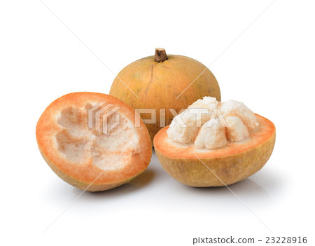 Santol fruit isolated on white background Santol fruit isolated on white background 23228916