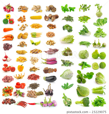 vegetable, herb, spices isolated  23229075