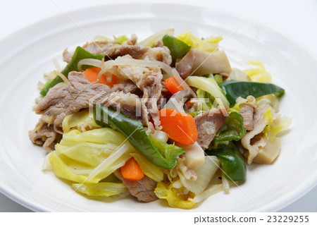 油炸蔬菜 油炸蔬菜 23229255