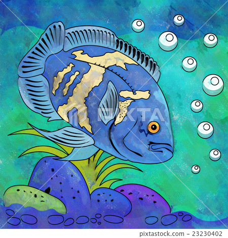 Colorful Aquarium Fish Colorful Aquarium Fish 23230402