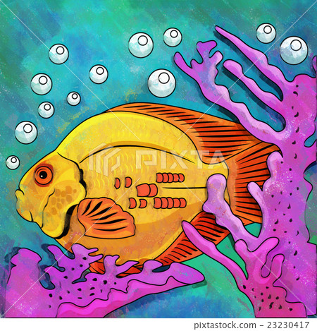 Colorful Aquarium Fish 23230417
