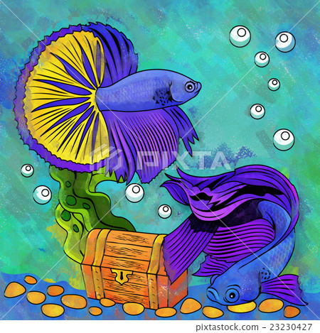 Colorful Aquarium Fishes 23230427