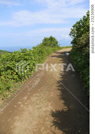 鋪好的山路 23230906