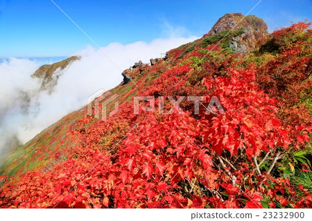 秋天Tanigawadake ridgeline春天霧 23232900