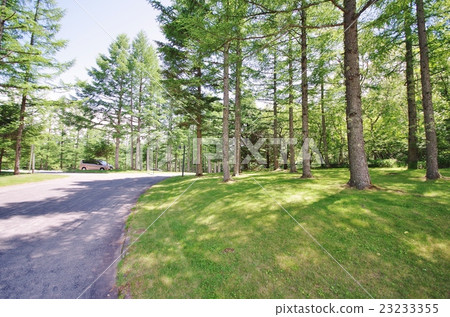 Yatsugatake lodge 23233355