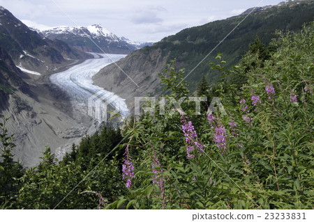 Salmon glacier and Janagiran Salmon glacier and Janagiran 23233831