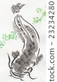 鯰魚 23234280