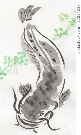 Catfish Catfish 23234280