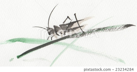 蚱蜢 23234284