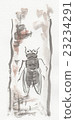 蟬 23234291