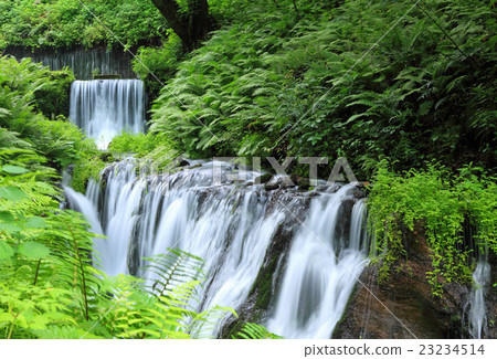 Shiraito Falls  - 長野縣輕井澤鎮 23234514