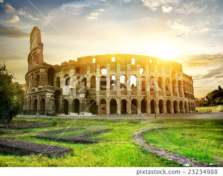 Bird over Colosseum 23234988