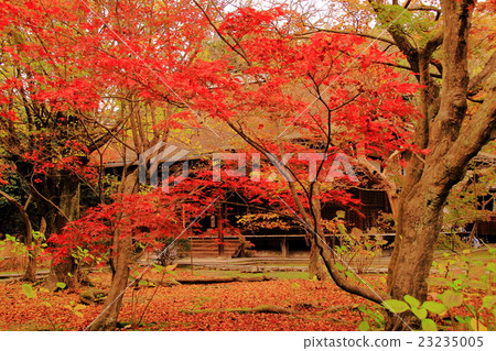 Jitsuji（Kyoto Yamashina）秋葉在區 23235005