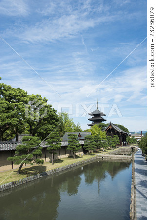 Scenery of Kyoto Toji Scenery of Kyoto Toji 23236079