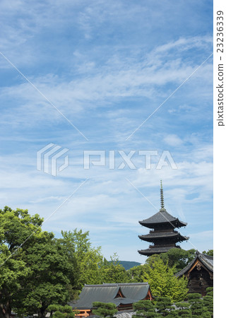 Scenery of Kyoto Toji 23236339