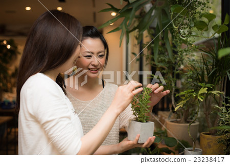 Two women shopping shooting cooperation: TENOHA DAIKANYAMA Two women shopping shooting cooperation: TENOHA DAIKANYAMA 23238417