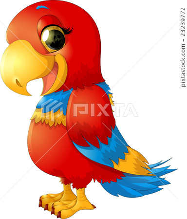 cheerful red parrot cheerful red parrot 23239772