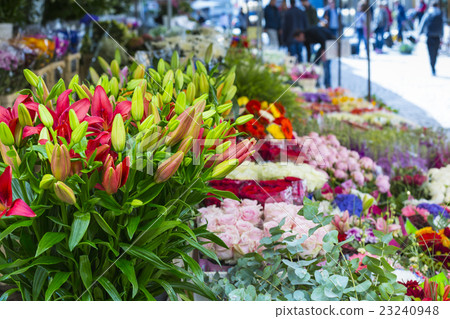 Market day with lots of spring flowers on sale. Market day with lots of spring flowers on sale. 23240948
