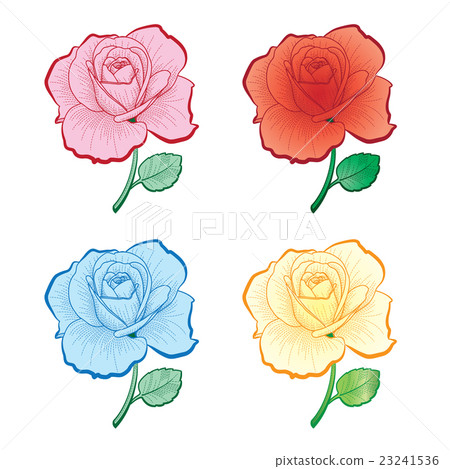Set of color hand drawing roses 23241536
