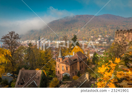 Town of Frankfurt Germany during autumn 23241901
