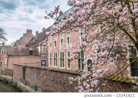 Spring in Leuven Belgium Spring in Leuven Belgium 23241921