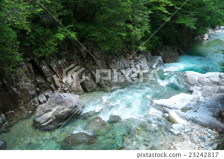 Aji River Valley - Cattle is a deep (Ogawa Village, Nagano Prefecture) Aji River Valley - Cattle is a deep (Ogawa Village, Nagano Prefecture) 23242817