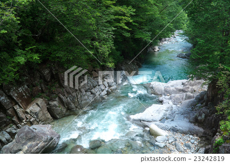 Aji River Valley - Cattle is a deep (Ogawa Village, Nagano Prefecture) Aji River Valley - Cattle is a deep (Ogawa Village, Nagano Prefecture) 23242819