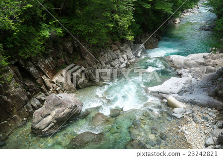Aji River Valley - Cattle is a deep (Ogawa Village, Nagano Prefecture) Aji River Valley - Cattle is a deep (Ogawa Village, Nagano Prefecture) 23242821