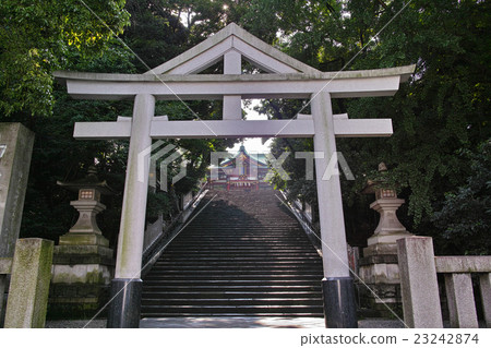 Tokyo Sanno torii of Hiki shrine 23242874