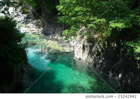Aji River Valley  -  The Dog's Return（長野縣大和村） 23242942