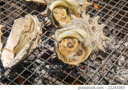 因果和牡蠣 因果和牡蠣 23243065