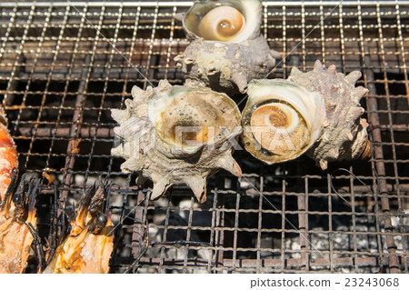 Sausal and oyster Sausal and oyster 23243068