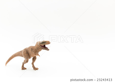 Tyrannosaurus: T-Rex 23243413