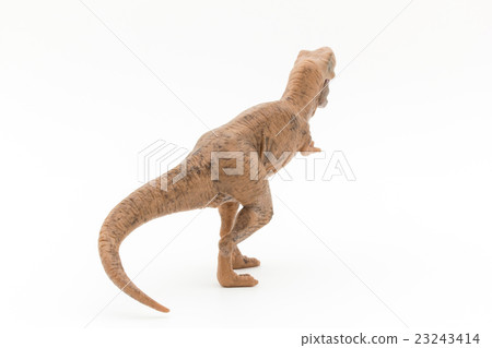 puma t rex