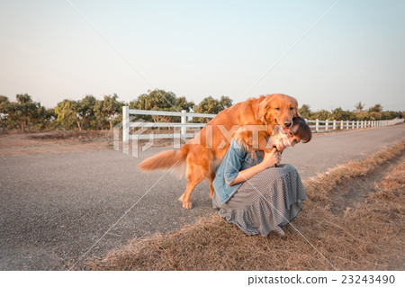 Beautiful woman with a cute golden retriever dog Beautiful woman with a cute golden retriever dog 23243490