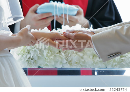 戒指交換 戒指交換 23243754