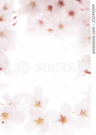 Cherry frame Cherry frame 23244264