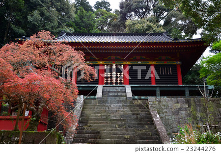 Kunozan Toshogu Shrine (2016.4) 23244276