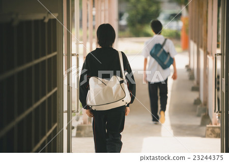 junior high school student, junior high student, middle school student 23244375