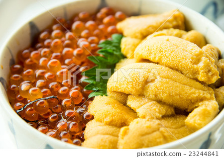 Sea urchin potatoes on rice Sea urchin potatoes on rice 23244841