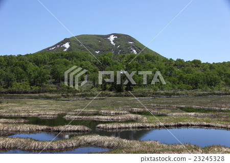 Marshland - Niseko Takahara moorland 23245328