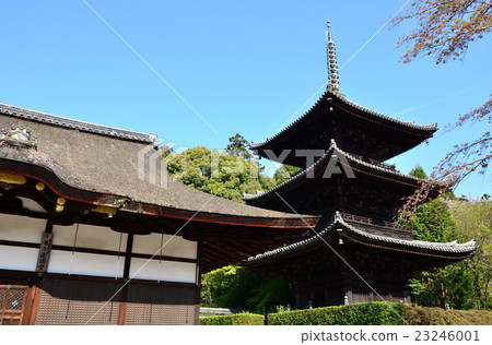Mitsuji Temple River Valley / Mie Tower（2016.4） 23246001