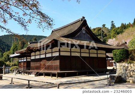 Mitsuiji Shrine (2016.4) Mitsuiji Shrine (2016.4) 23246003