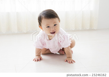 Baby 9 months Baby 9 months 23246162