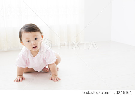 Baby 9 months Baby 9 months 23246164