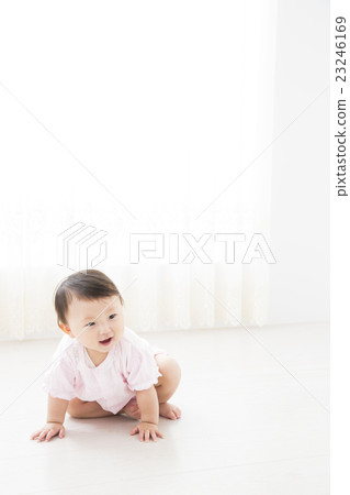 Baby 9 months 23246169