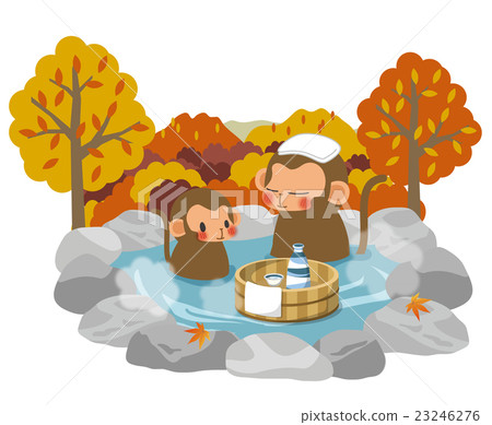 Monkey and hot spring _ fall 23246276