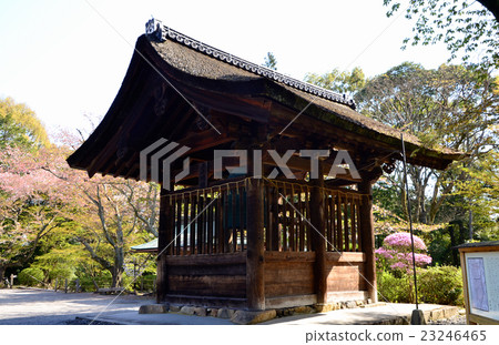 Mitsuiji Mitsui的晚鐘（2016.4） 23246465